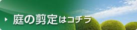 庭の剪定はコチラ