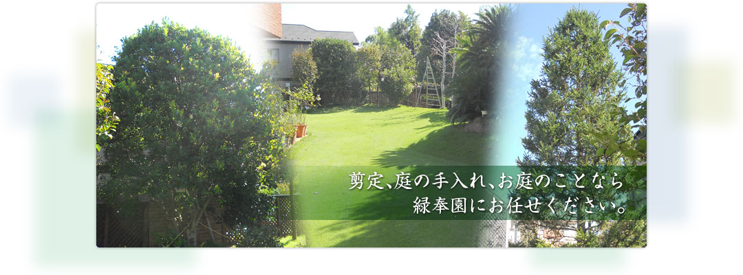 剪定、庭の手入れ、お庭のことなら緑奉園にお任せください。